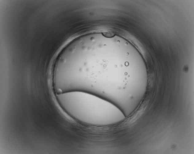 X0000103220851200808280924