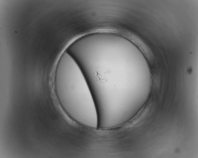 X0000103220852200808280924