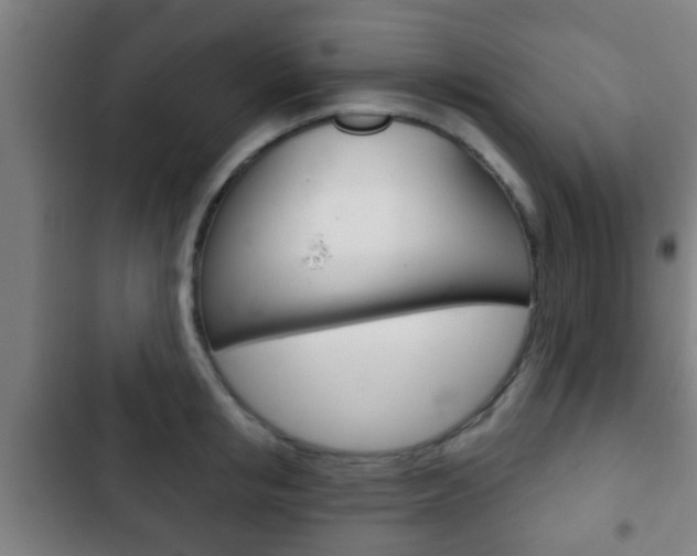 X0000103220853200808280924