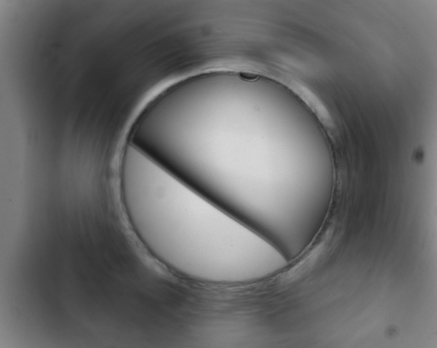 X0000103220854200808280924