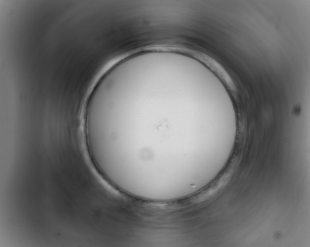 X0000103220855200808280924