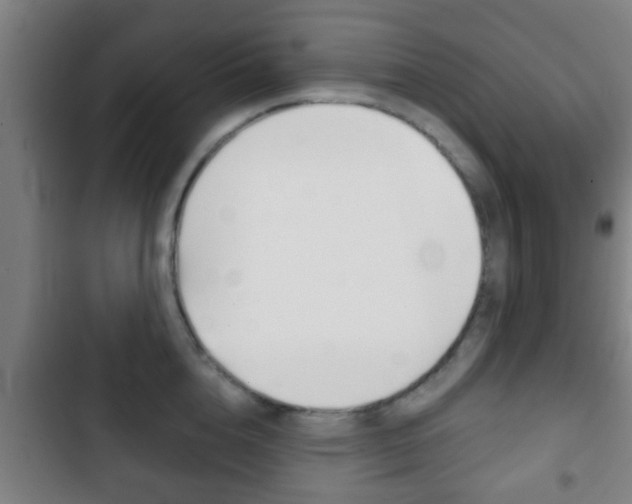 X0000103220856200808280924