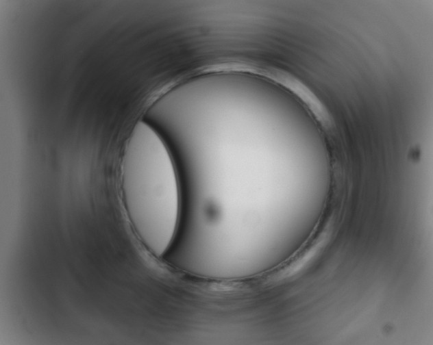 X0000103220857200808280924