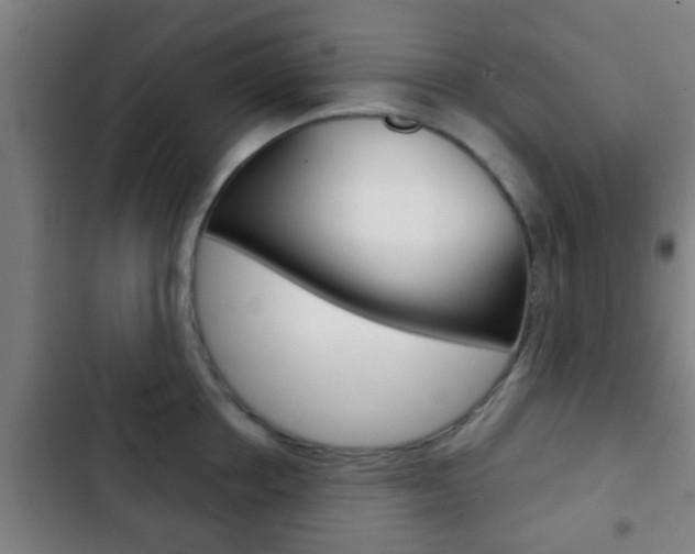 X0000103220858200808280924