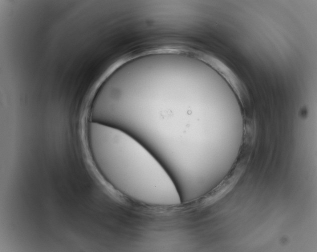 X0000103220859200808280924