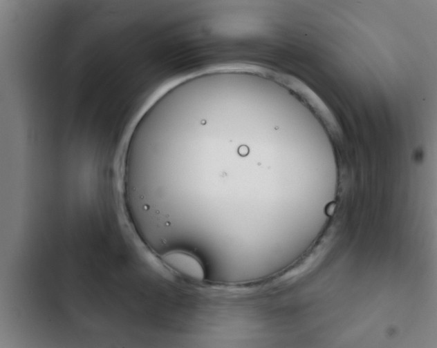X0000103220860200808280925