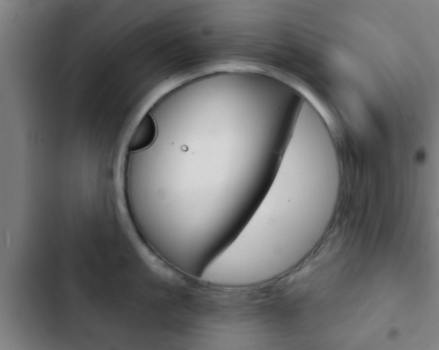 X0000103220861200808280925
