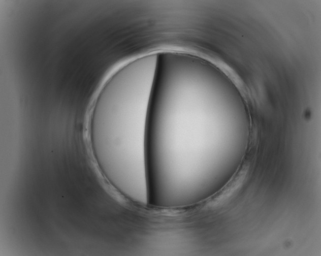 X0000103220862200808280925