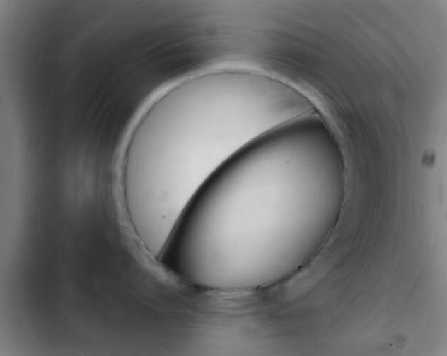 X0000103220864200808280925