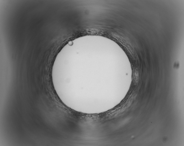 X0000103220865200808280924