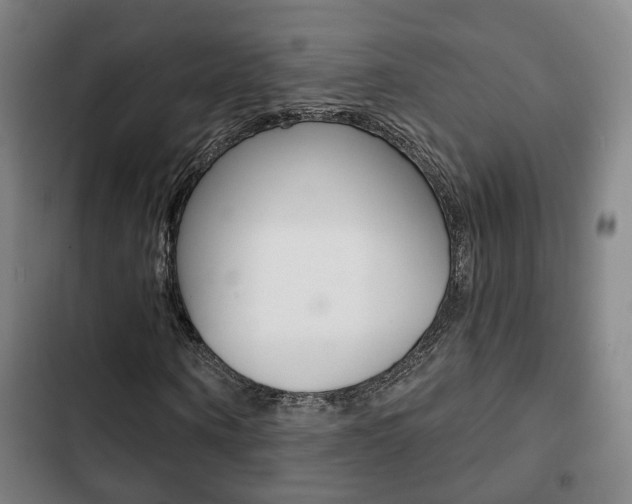 X0000103220866200808280924