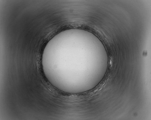 X0000103220867200808280924