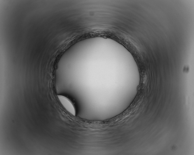 X0000103220868200808280924