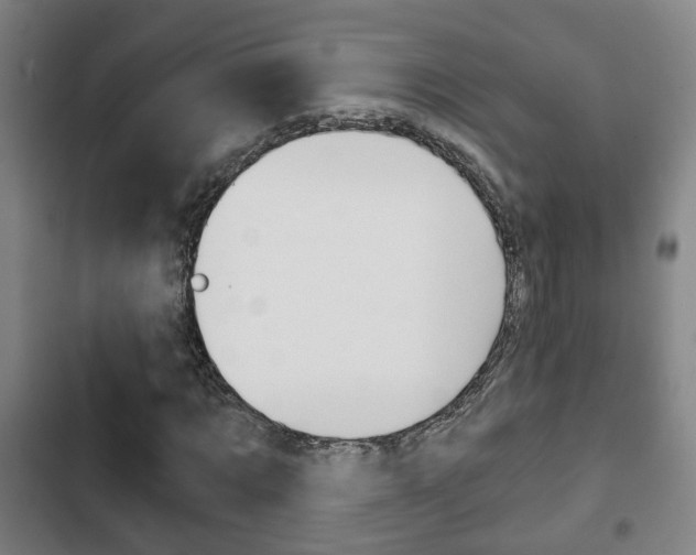 X0000103220869200808280924