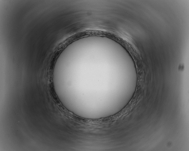 X0000103220870200808280924