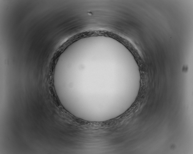 X0000103220871200808280924