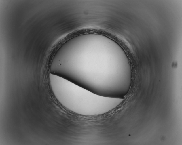 X0000103220872200808280924