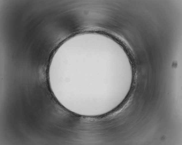 X0000103220873200808280924