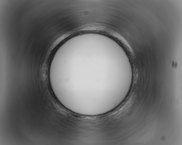 X0000103220874200808280923