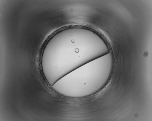 X0000103220875200808280923