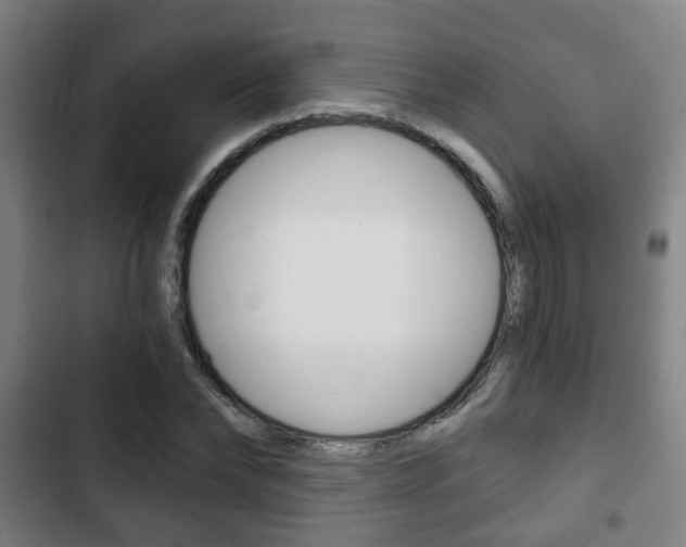 X0000103220878200808280923