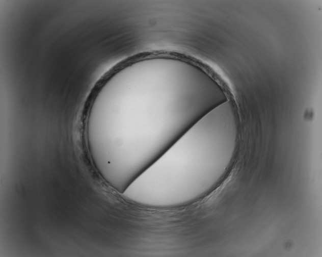 X0000103220879200808280923