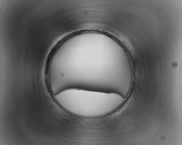 X0000103220880200808280923