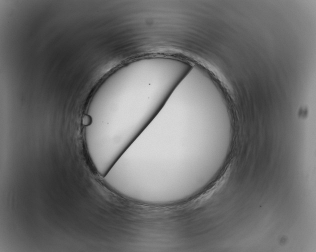 X0000103220881200808280923
