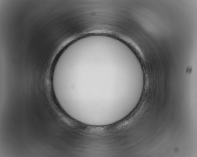 X0000103220882200808280923