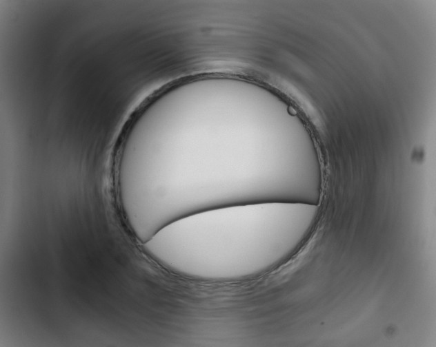 X0000103220883200808280923