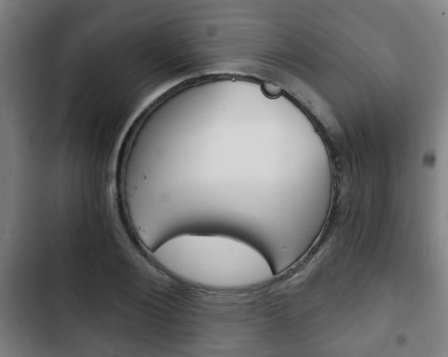 X0000103220884200808280923