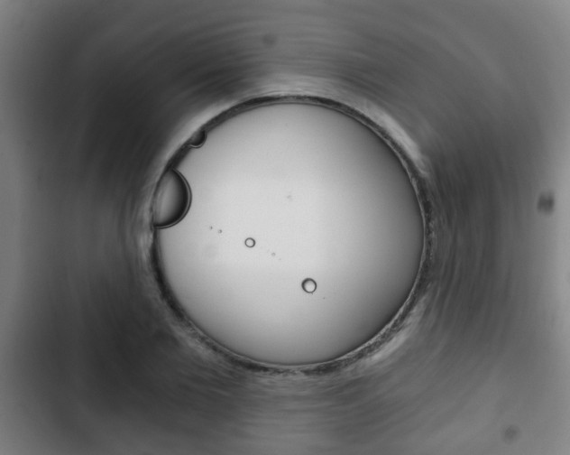 X0000103220885200808280923