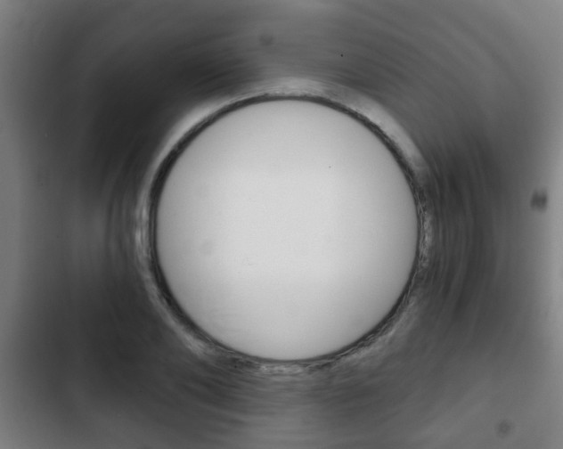 X0000103220886200808280923