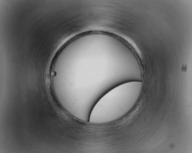 X0000103220887200808280923