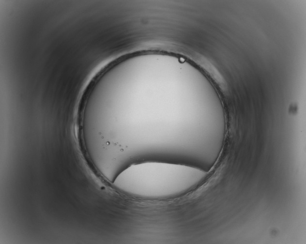 X0000103220888200808280923