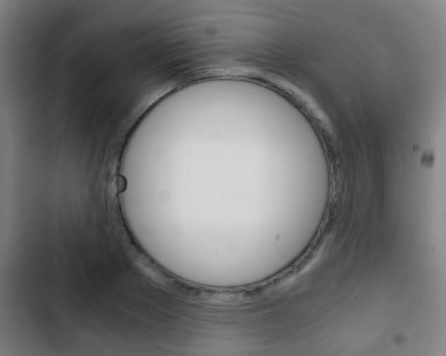 X0000103220889200808280923