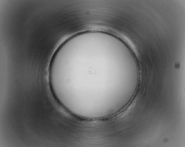 X0000103220891200808280923
