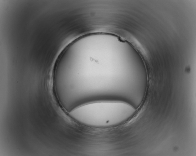 X0000103220892200808280923
