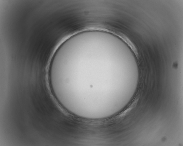 X0000103220893200808280923