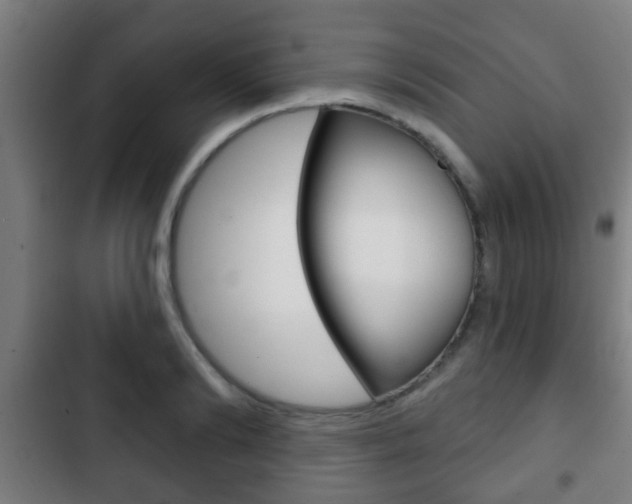 X0000103220894200808280923