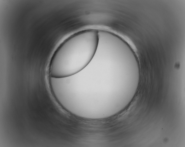 X0000103220895200808280923