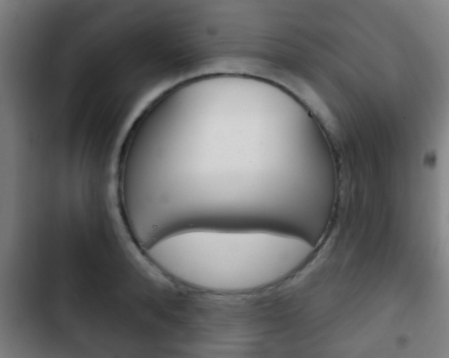 X0000103220896200808280923