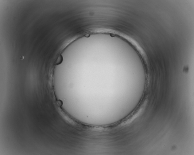 X0000103220897200808280923