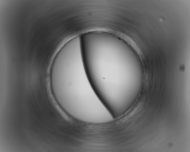 X0000103220898200808280923