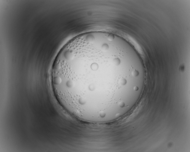 X0000103220899200808280923
