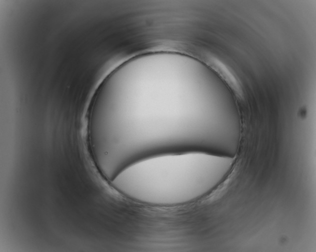 X0000103220900200808280923