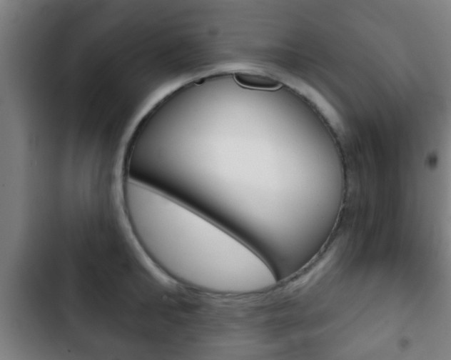 X0000103220902200808280923