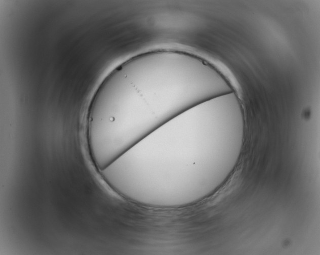 X0000103220903200808280923