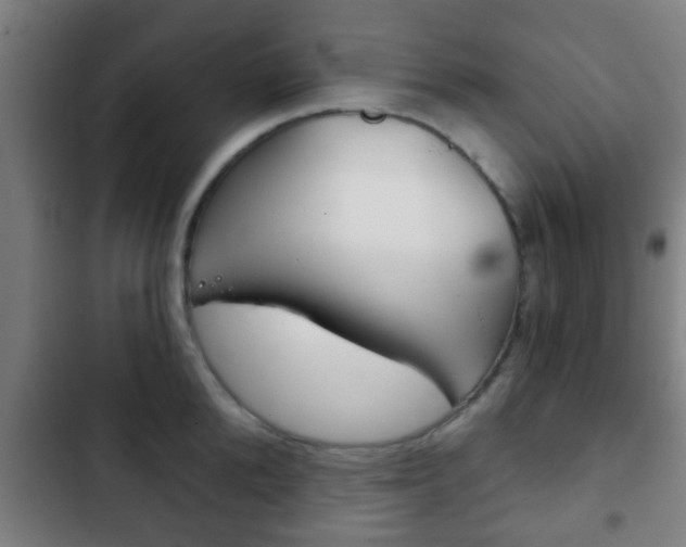 X0000103220904200808280923