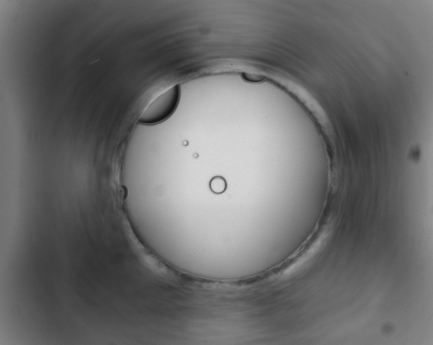 X0000103220905200808280923